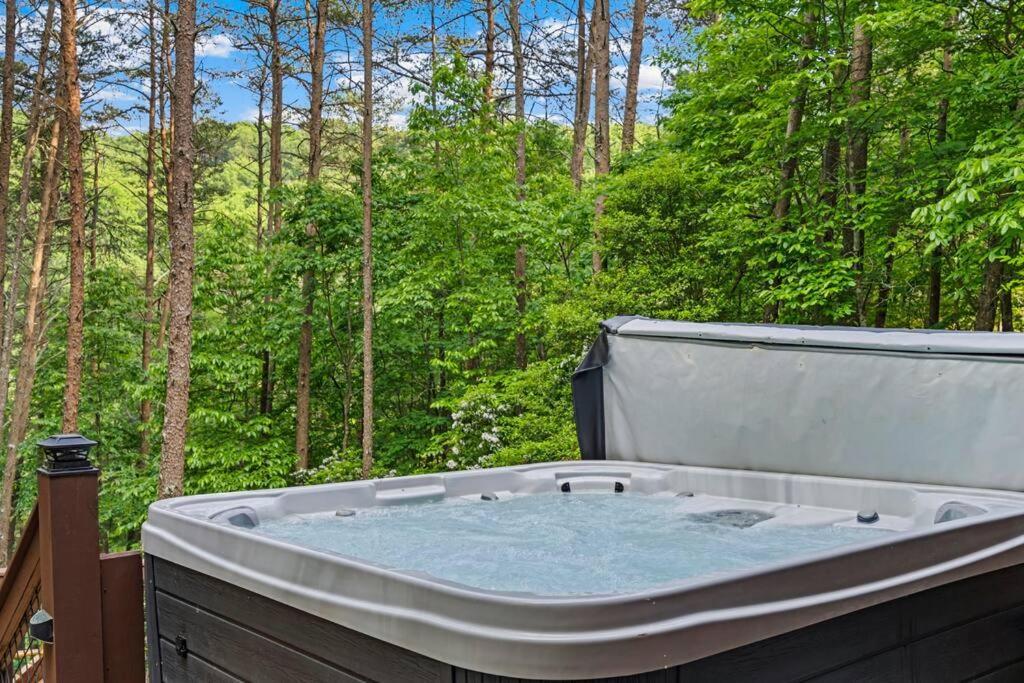 Lakeside Retreat Hot Tub Fishing Hiking Ellijay Buitenkant foto