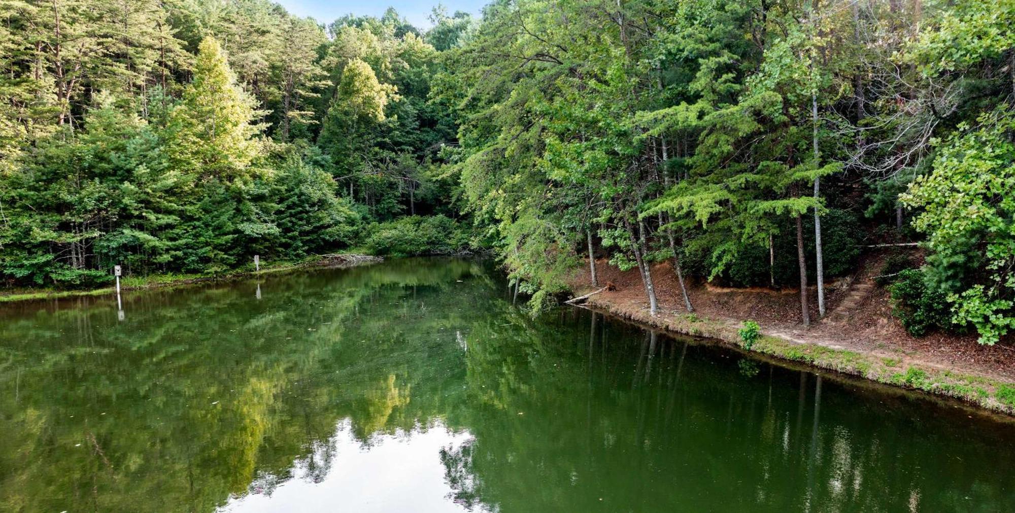 Lakeside Retreat Hot Tub Fishing Hiking Ellijay Buitenkant foto